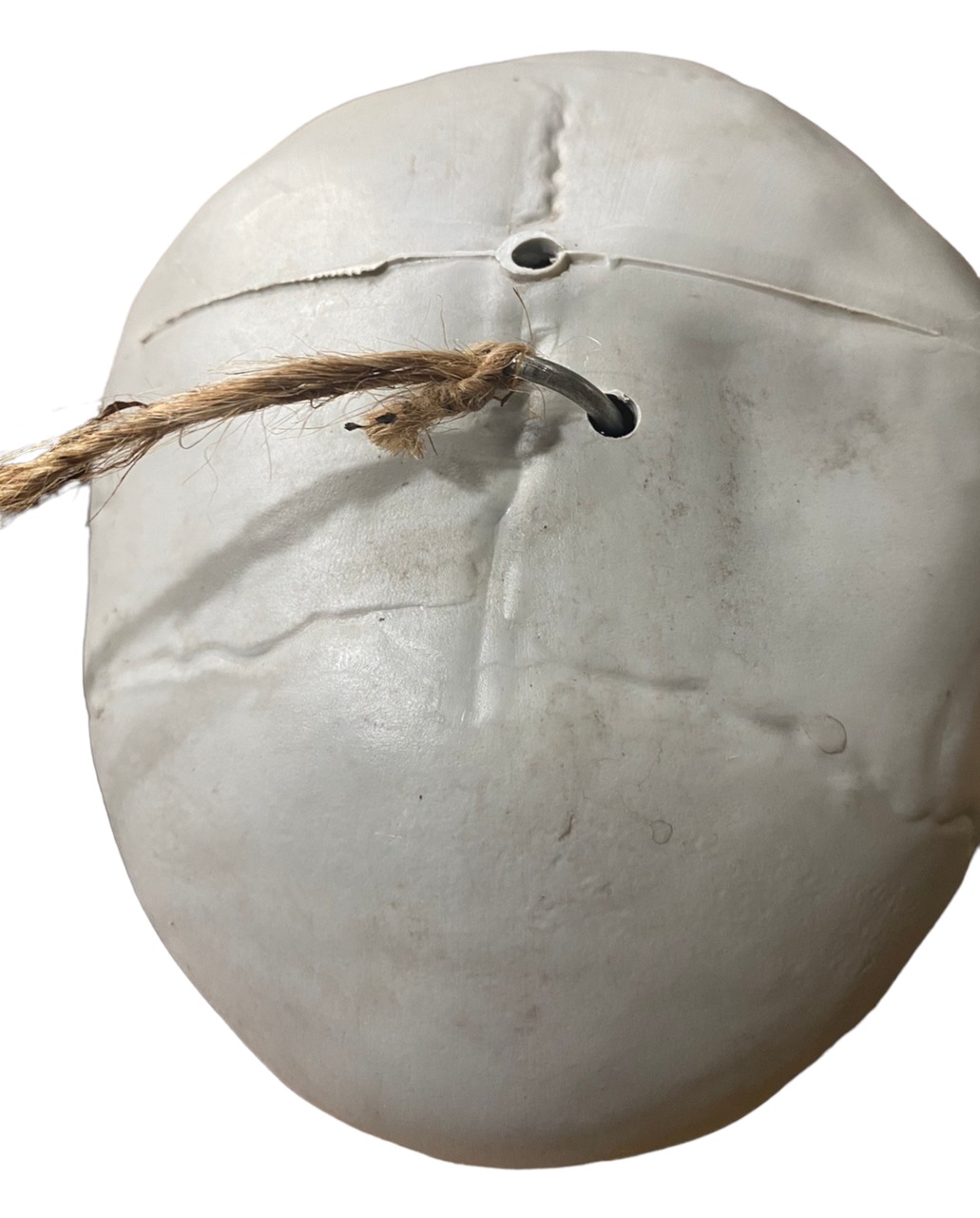 Duży szkielet RESTEQ 180 cm Anatomiczny model człowieka, dokładne szczegóły - obrazek 6