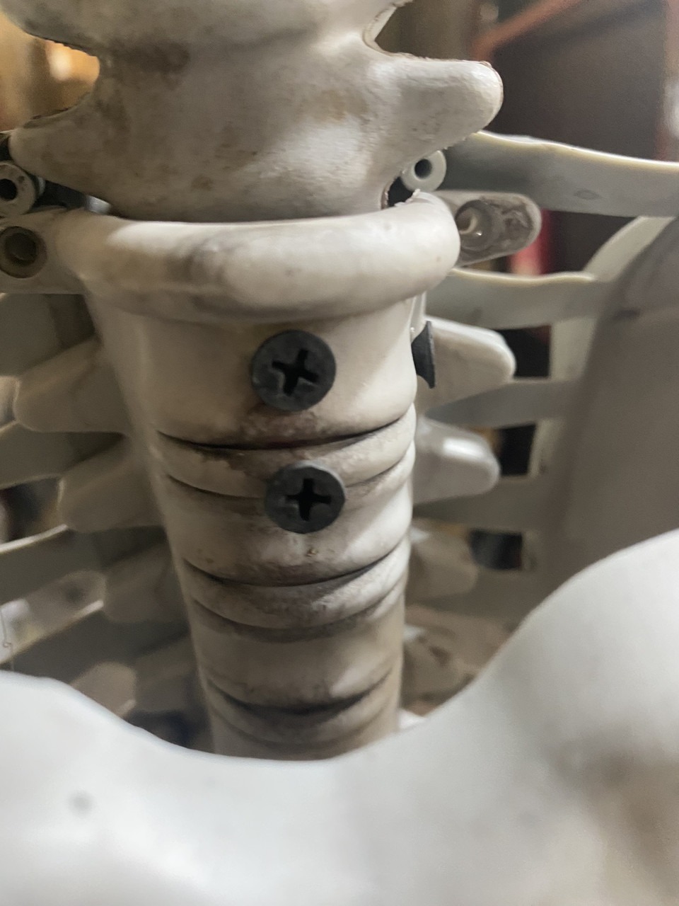 Duży szkielet RESTEQ 180 cm Anatomiczny model człowieka, dokładne szczegóły - obrazek 9